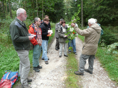 Rubus-Exkursion Juli 2009 nahe Emtmannsberg
