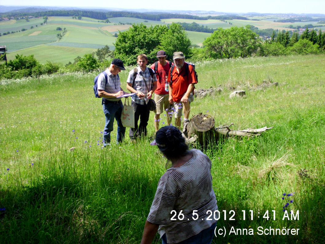 Rubus-Exkursion Juli 2009 nahe Emtmannsberg